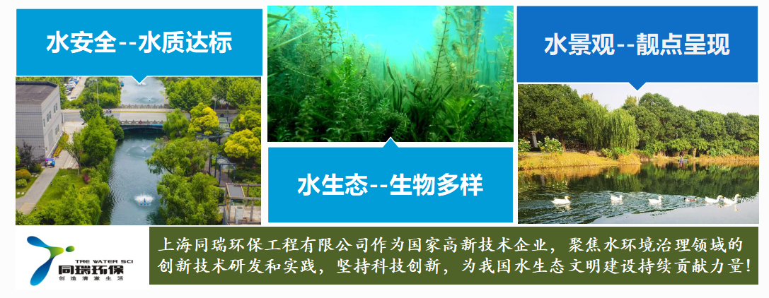 图片13.png