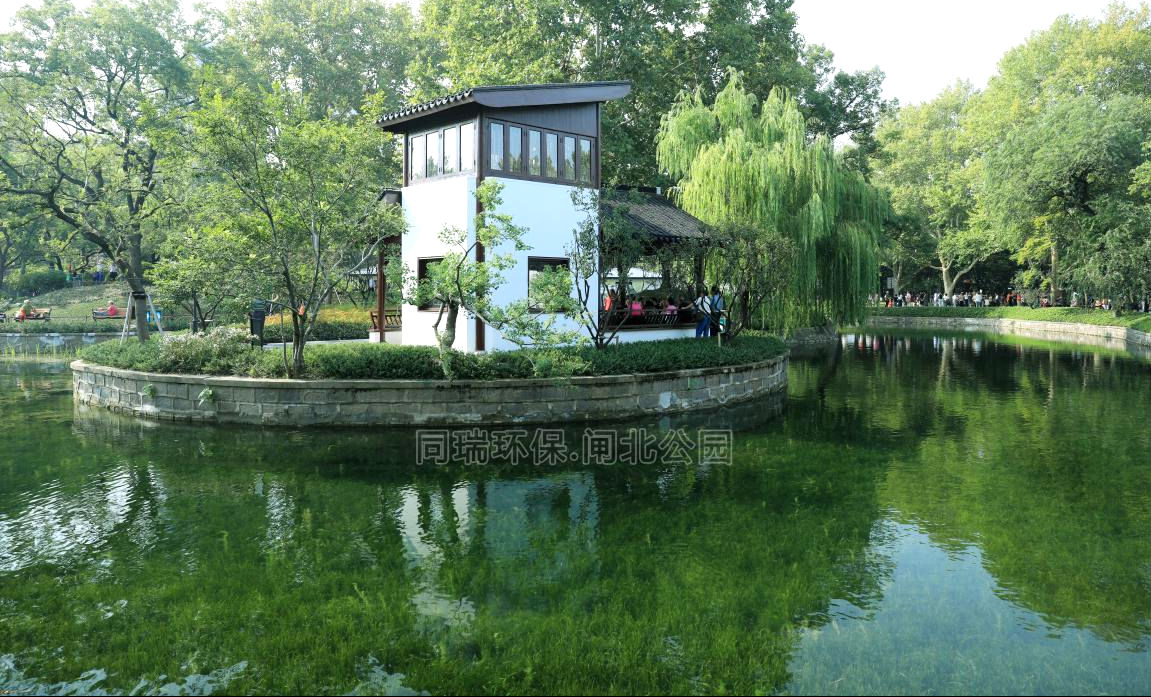 图片30.png