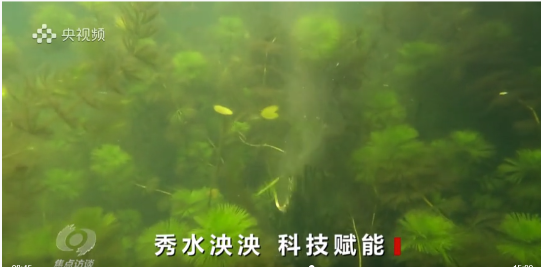 图片14.png